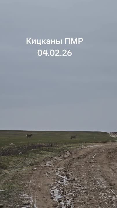 5 ������ ���������� ������ �������� � ��������� ��� ���������