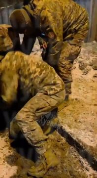 � ������ �������� ������� �� ����� �����, �������� � ������ �������� ������