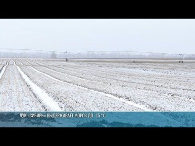 ������ ��������� ��������� �������� ������