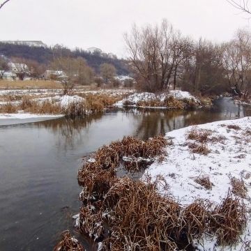 ���������� �����. �� �����������, �������������� ���������� ���������������� ��������������, ���� �������, ���� �������