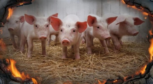 ������ 700 ������ ������� ��-�� ������ �� ������������ � �����, ����������� �����