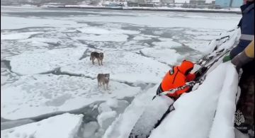 �� �������� ���������� ��� ����� � ������ ���� �����, ������� ����� 2 ��� ���������� � 250 � �� ������