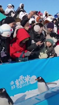 ��������-����������� ����� �� ����� � ��������� �������