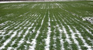 ��������������� �������������: ���� 2026 ���� �� ��������� � ������������� �� ���������� ��������� ����������, ������ ��������������� ��� ���������� � ����� ������ ���������������� ��������� ��������