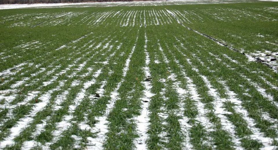 ��������������� �������������: ���� 2026 ���� �� ��������� � ������������� �� ���������� ��������� ����������, ������ ��������������� ��� ���������� � ����� ������ ���������������� ��������� ��������