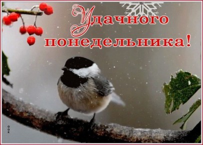 9 ������� � ���� ��� �������, � �� ����� ��� ����������