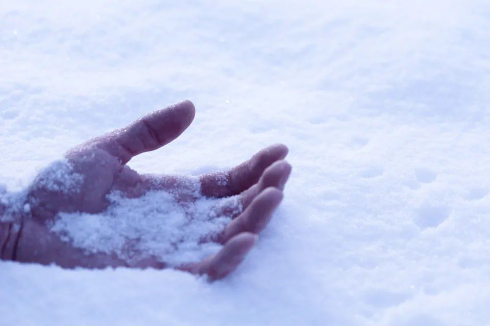 27 человек с начала года пострадали от переохлаждения, 5 из них погибли, доложили Вадиму Красносельскому на селекторном совещании