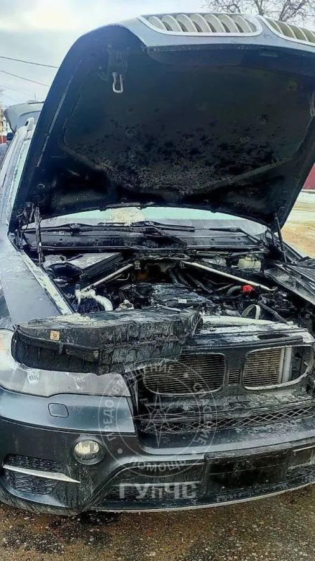 � ��������� ������ ���������� �� ����