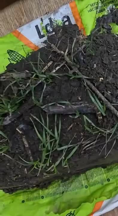 ��� ��� ����� ������ ����������� ����� �����������