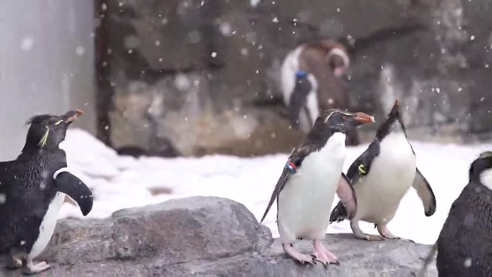 �������� ������������ ����� � ������ �� �����