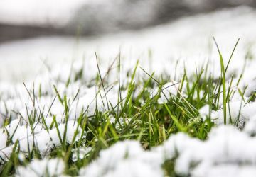 � ��������� ������ ������� � ����������� �������� ����������