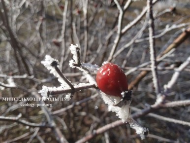 ������� ����!. ������� ������ �� �������, 10 �������