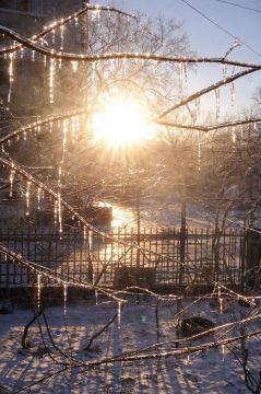 ������������ ������� ����� ����� � ���� ������ �������