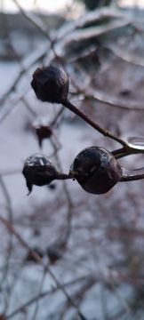 ���� ������� � ������ �����