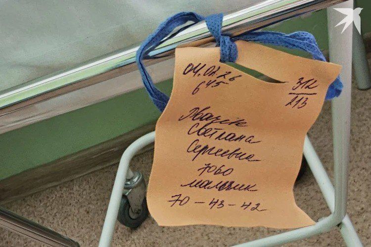 Младенца-богатыря на 7 кг родила женщина из Волгограда Младенца-богатыря на 7 кг родила женщина из Волгограда