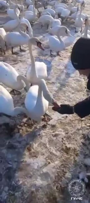 ��� ���, ����� �����������?!� � �� ����� �������������� ��������� ����� � ������ �������� ������� �� ������������� ��������� ��������� �������