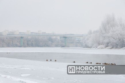 �������������: ������ � ���������� ��������� �����