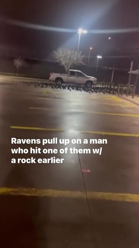 ����� ����� ������ � ������ � �� ��������� ���� ����� ������ ��� ���� �������