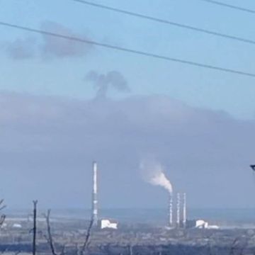 ������������ ���� � �������������