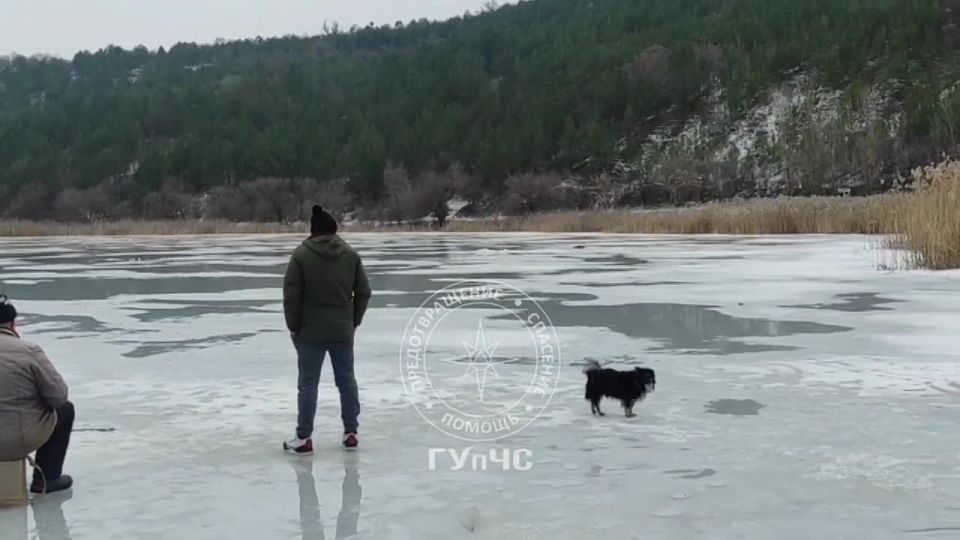 �� ����� � �������� ������ �� ��� ���������� ������ ����