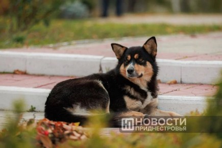 � �������� ��������� ��������, ������ ����� �����, � ������������� ������� �� ������ ���