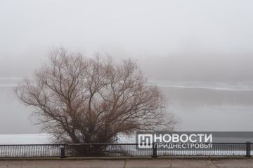 �������������: ������ �� ���������� ������� ����� � ����� � �����