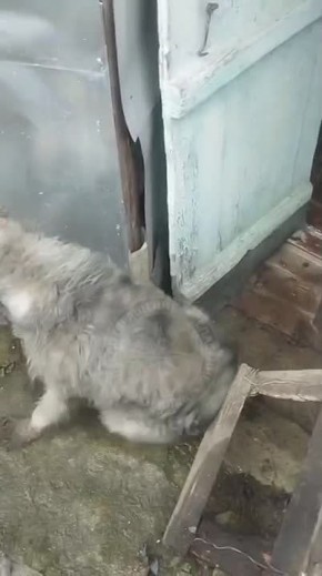 ��� ����� ������ �����!. ������� ��������� ������� ����� � ������ � �������� ������� �������� ��� � ����� �������