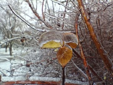 � ������� ��� ������ ������!