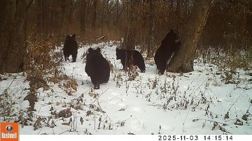 ��������� ����� ������������ ������� ������� ����� � �������� ����