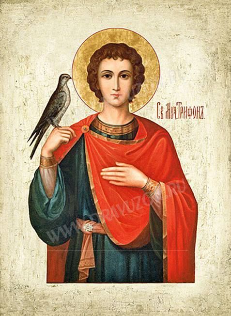 14 февраля православная церковь вспоминает Трифона Апамейского Никейского — раннехристианского мученика III века