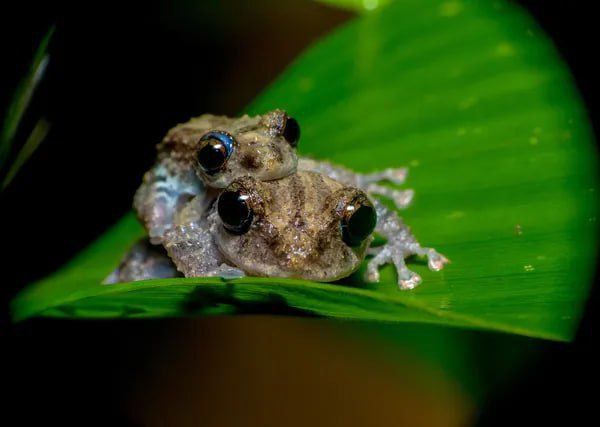 ��������� ��� ���� ���� ����