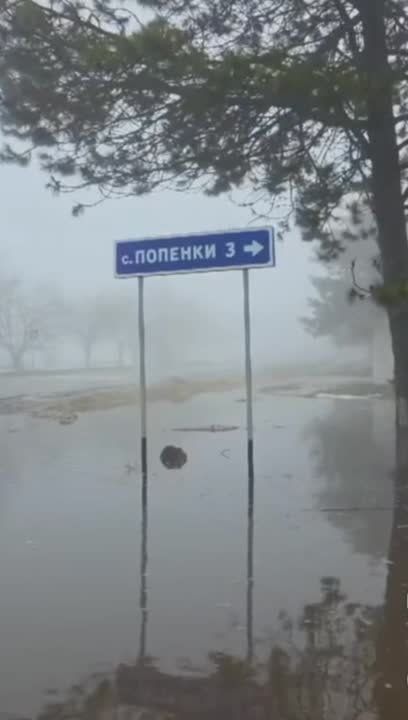 ��� ����� ����� ����������� ����� � ���������� ���������