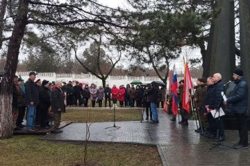 � ��������� �׸���� �������� � �������� ������� ���������� 15 ���������, �������� � �����������