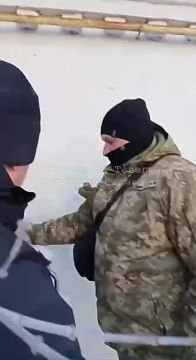 �������: ���� ������ ������� � ��������� ����������