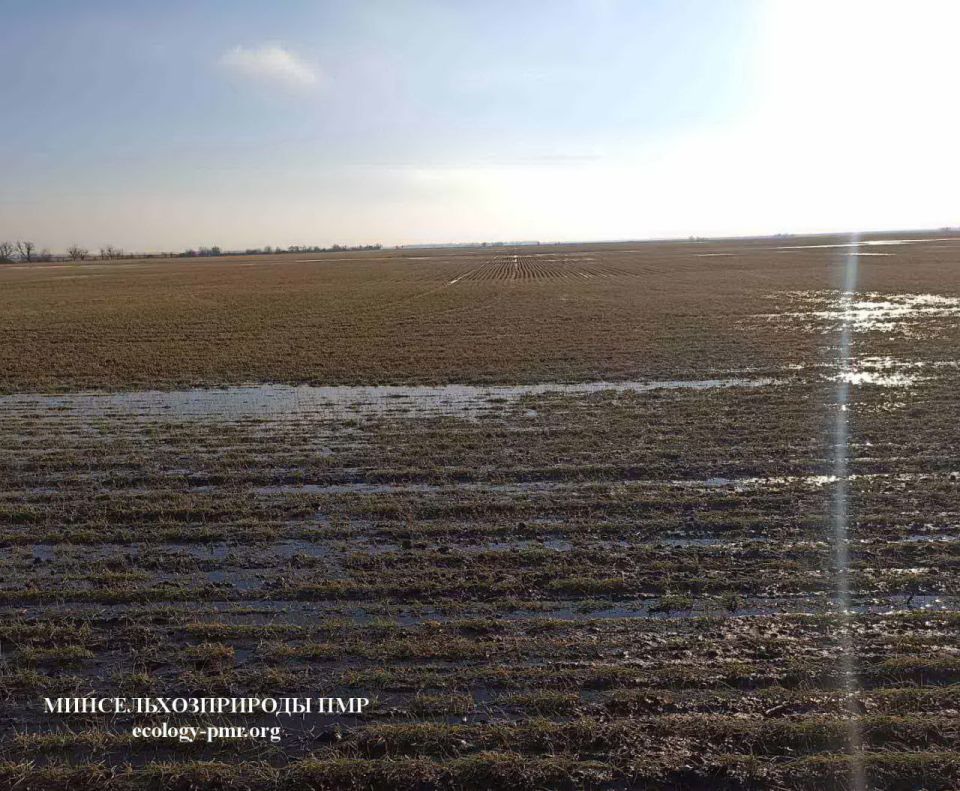 ����������������� ��� �������� � ��������������� �������� ����������� ������ ������� � �������������