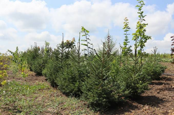 ������������� ��� ��������� ������� ���������� ��������� � ����� �������� �� 2026 ���