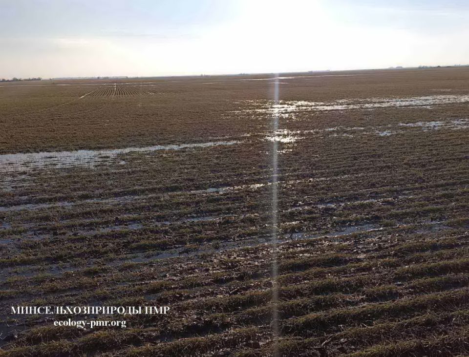 � ������� �������� � ������� ���������� � �������������