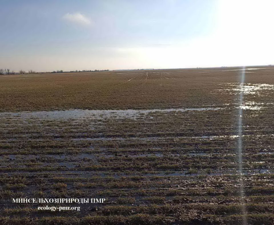 ���������� ����������, � ��� ����� � ��������� ������������, ��������� � �������� ������������ ���������������� ��� ��������� ��������� ���������� ��������� ���������� ��������� �������