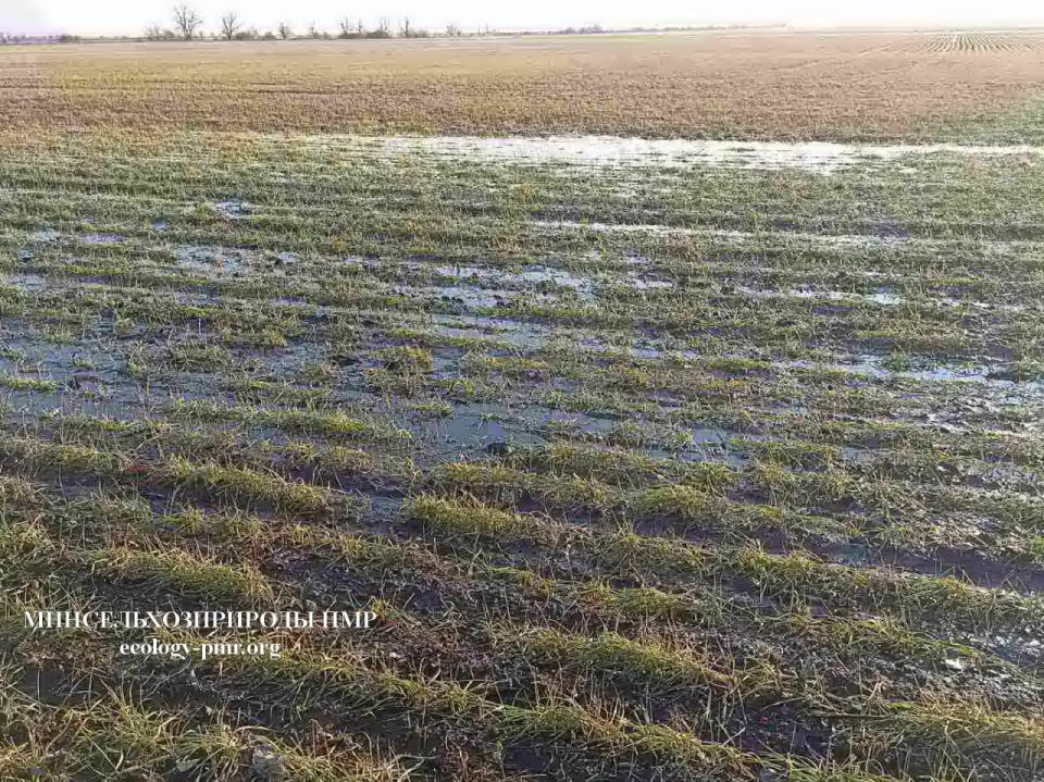 ���������� �������������: ������� �� ��������� ���� ��������� ������ ��������� ������ ������� ������ � �������� �������