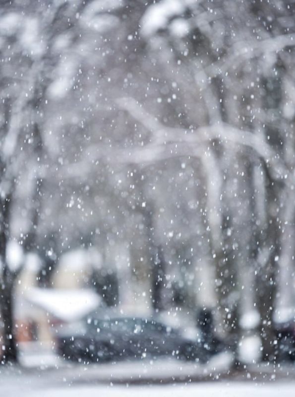 �� ������������� ����������� ��������