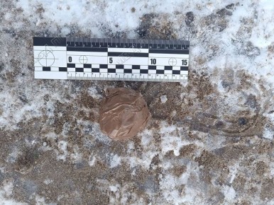 ����� �� ������� � ����� � �������