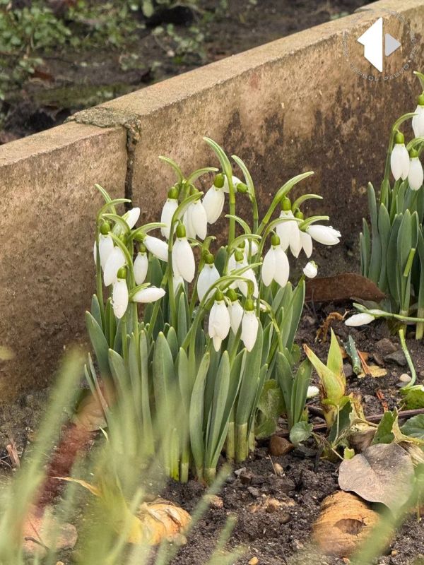 �� ������������� ����������� ��������, � ���������� ��������� ����� ���� � ������