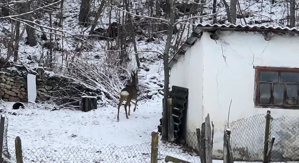 ���������� ������ ������� �� ���� ���� � ��������� ������