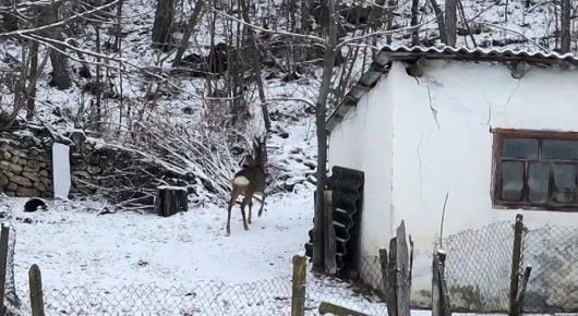 ���������� ������ ������� �� ���� ���� � ��������� ������