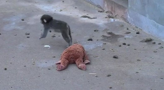 �������� ������� ������ �� ������ �������� ������