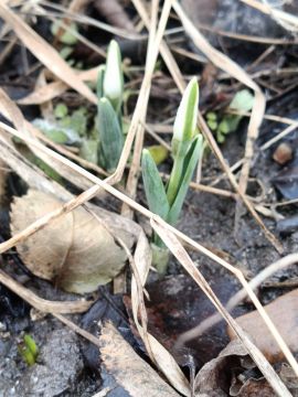 ����� ���� � ��������� ����