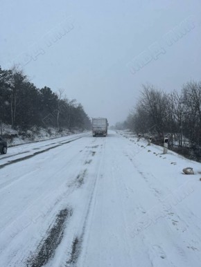 ���������� ��������. � ���� �����������