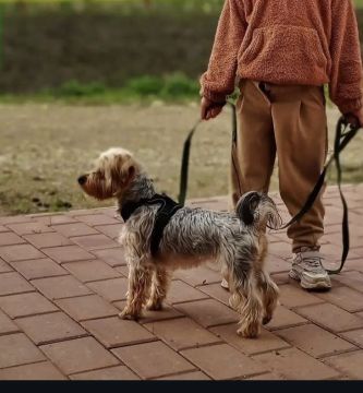 ��������, ����������, ����� ������ �������!!! ���� �������, � ���� ��������� � ������ �����������