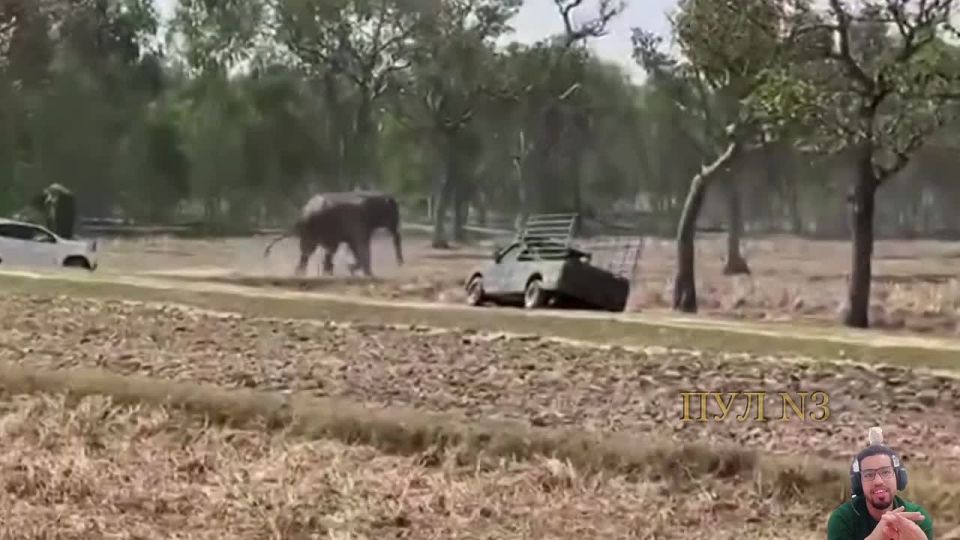 � �������� ���� ������ � ������, ����� ��� �������� ���������� � ��������: