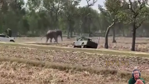 � �������� ���� ������ � ������, ����� ��� �������� ���������� � ��������: